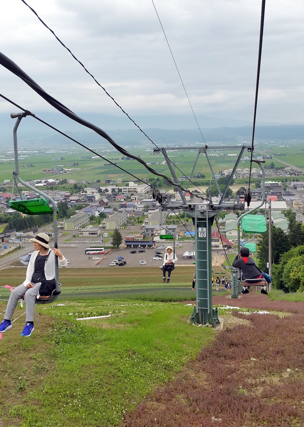 🌸 나카후라노 정영 라벤더원 (나카후라노 초에이 라벤다 엔) 이미지 6